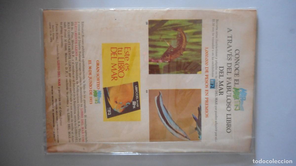 Tebeos: TARZAN N&ordm; 352. NOVARO / C-24 - Foto 2