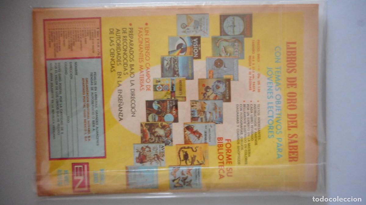 Tebeos: TARZAN N&ordm; 398. NOVARO / C-24 - Foto 2