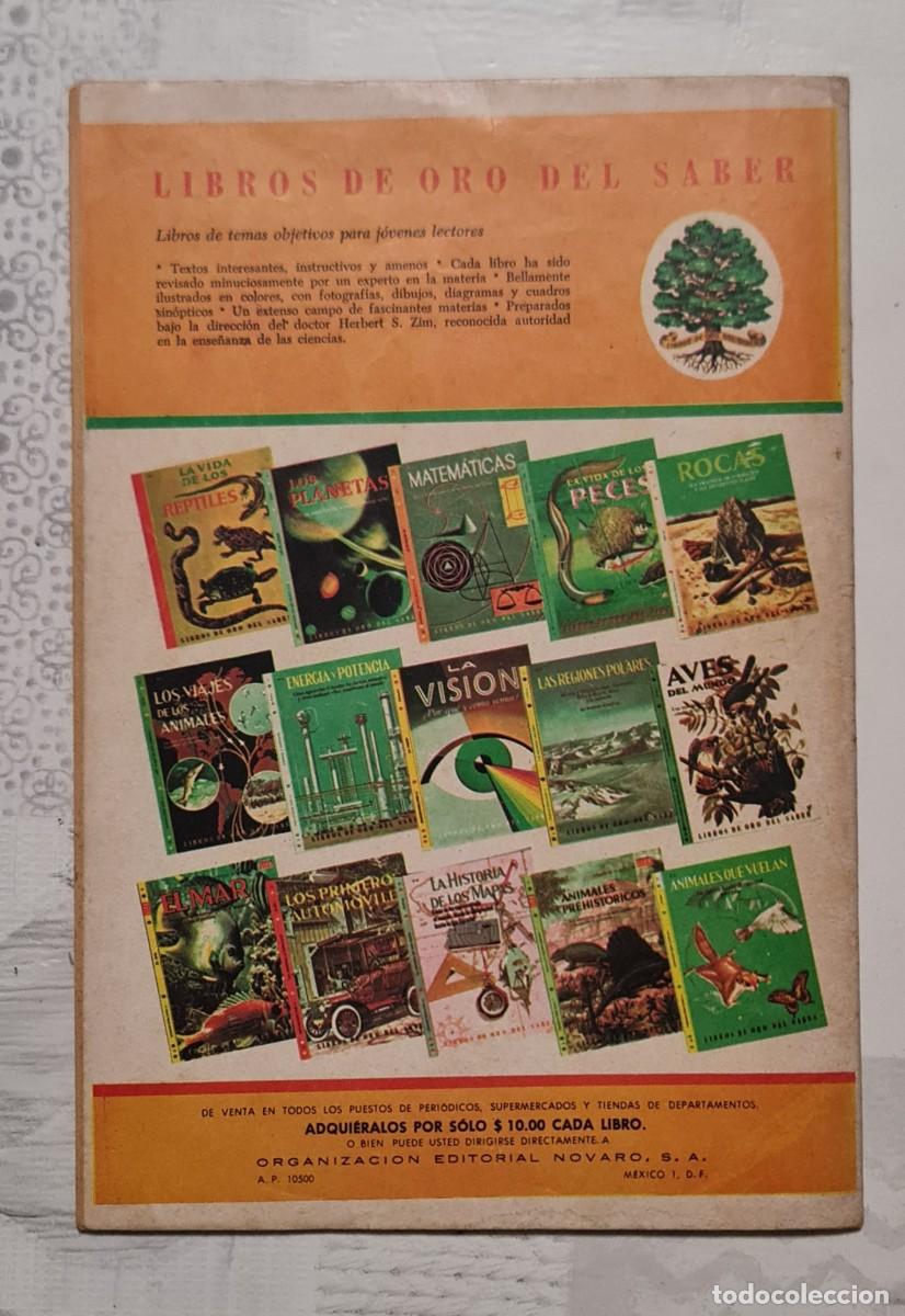 Tebeos: SUPERMAN n&ordm; 832. Editorial Novaro 1971 - Foto 2