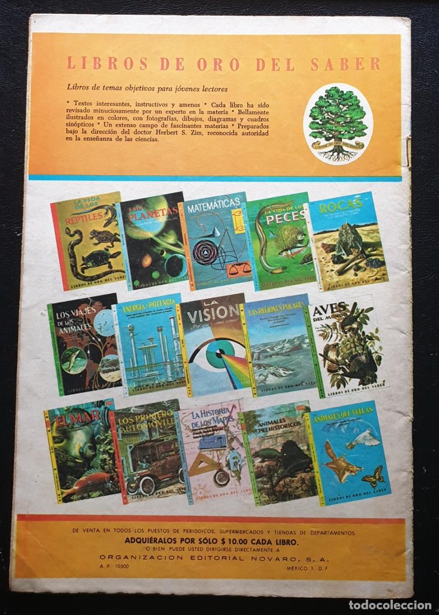 Tebeos: BATMAN n&ordm; 600. Editorial Novaro 1971 - Foto 2