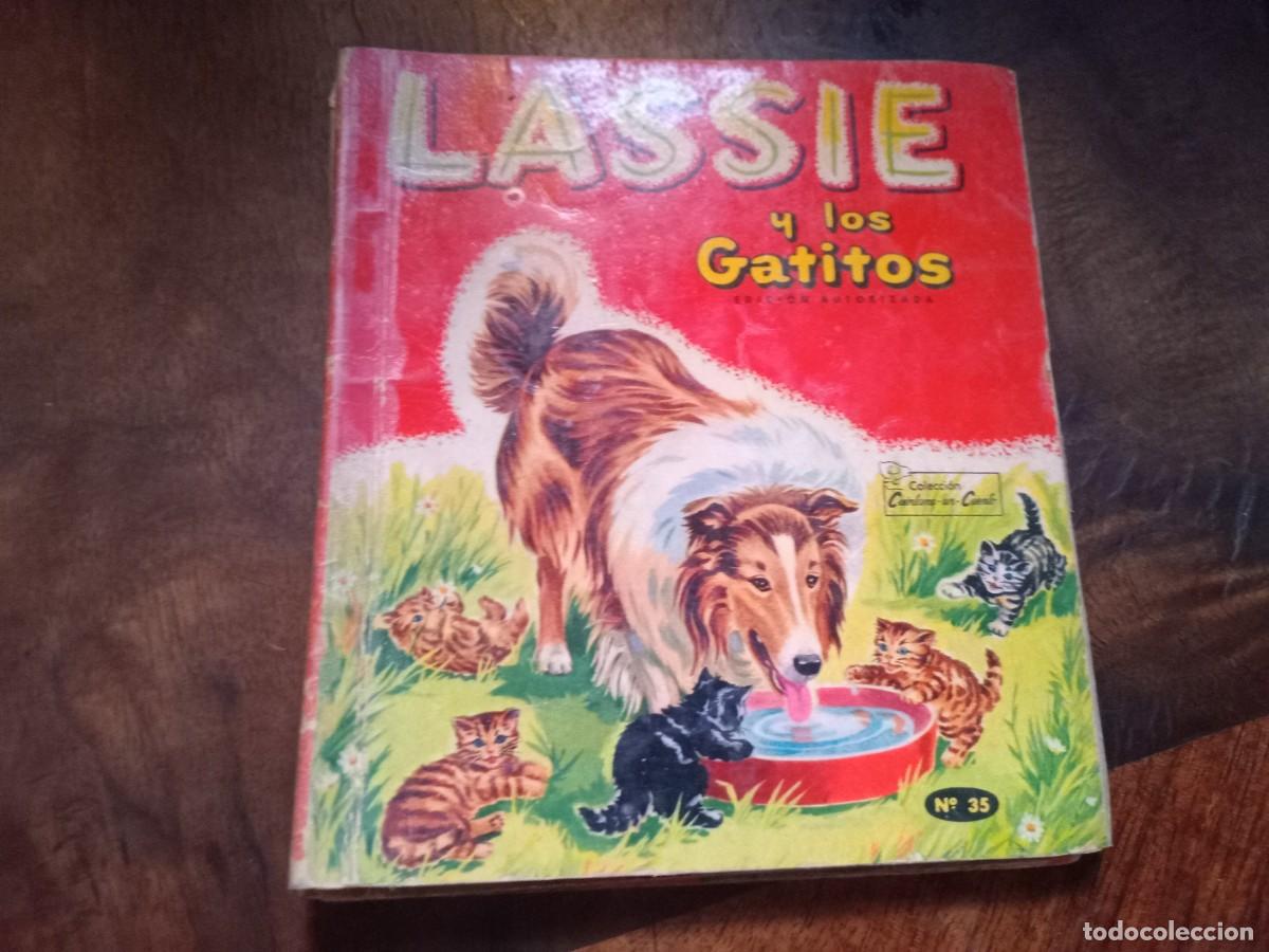 Tebeos: LASSIE Y LOS GATITOS - MINI LIBRO - NOVARO - - Foto 1