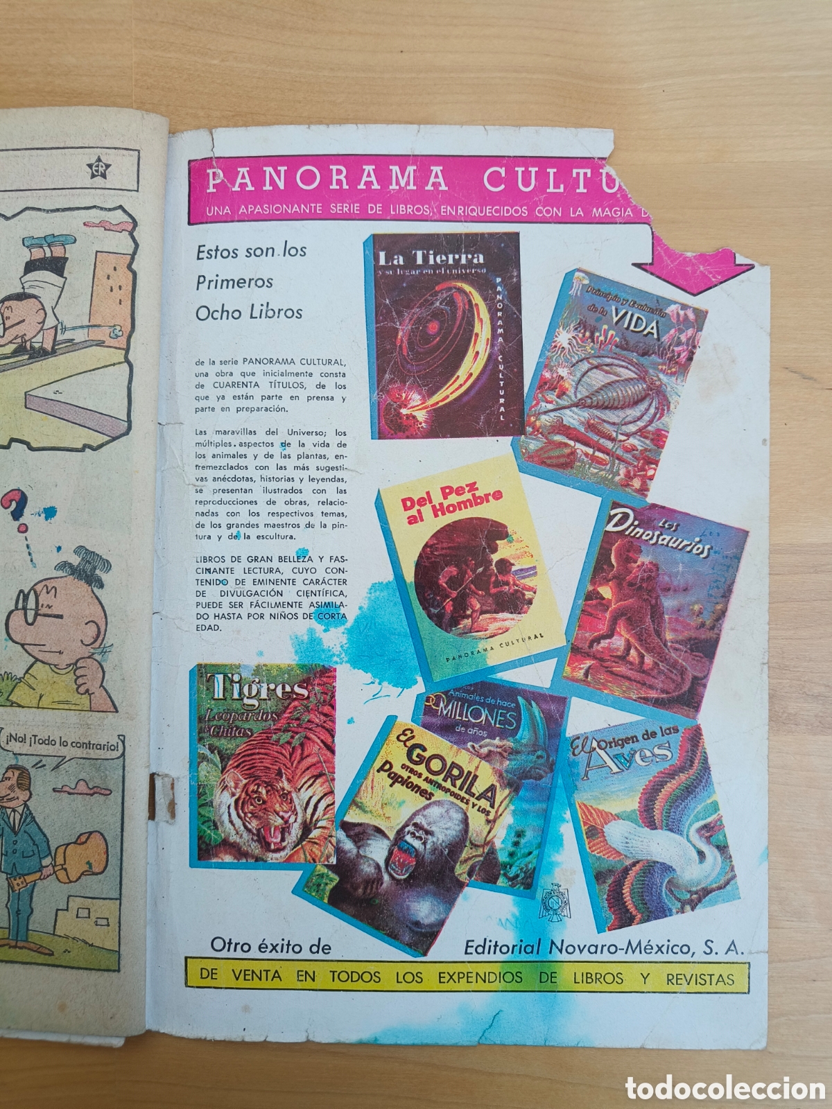 Tebeos: Superman 414 Editorial Novaro - Foto 6