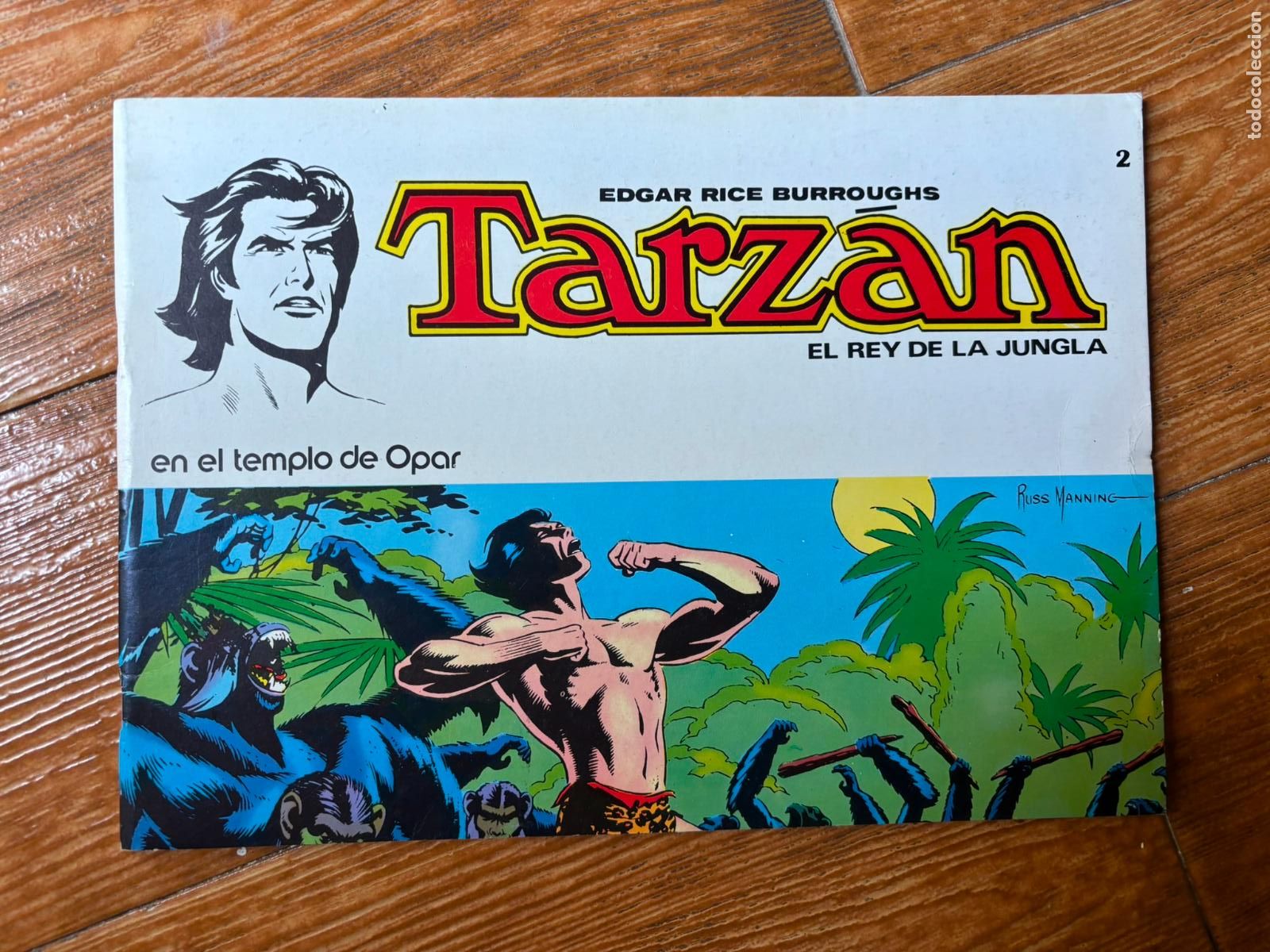 Tebeos: TARZ&Aacute;N EL REY DE LA JUNGLA N&ordm; 2 EDGAR RICE BURROUGHS NOVARO 1979