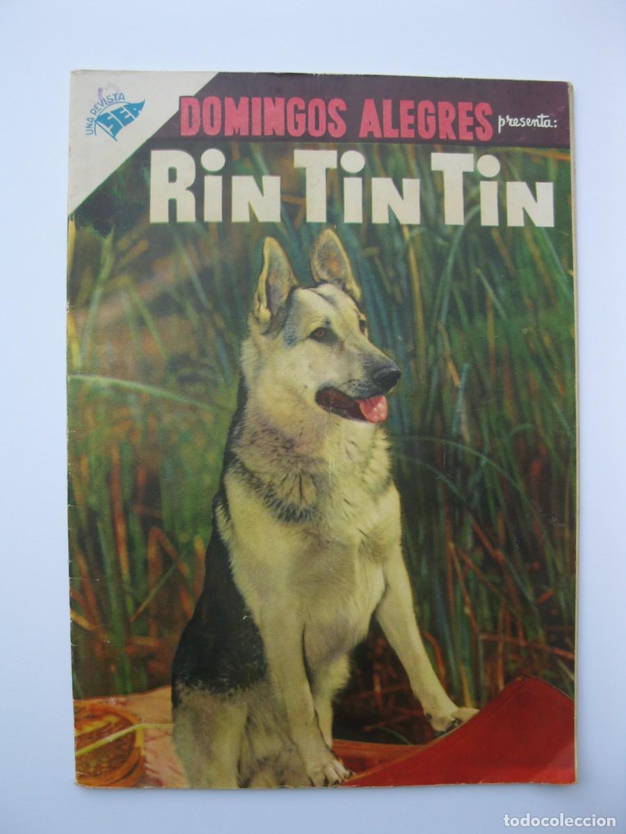 Tebeos: DOMINGOS ALEGRES - A&Ntilde;O II - N&ordm; 101 - RIN TIN TIN - ORIGINAL - SEA (M&Eacute;XICO) - A&Ntilde;O 1956.