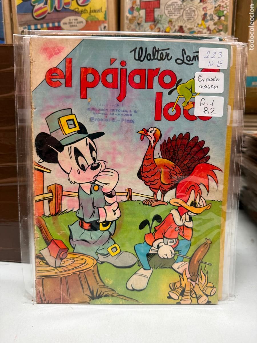 Tebeos: PAJARO LOCO EDITORIAL NOVARO NUMERO 223