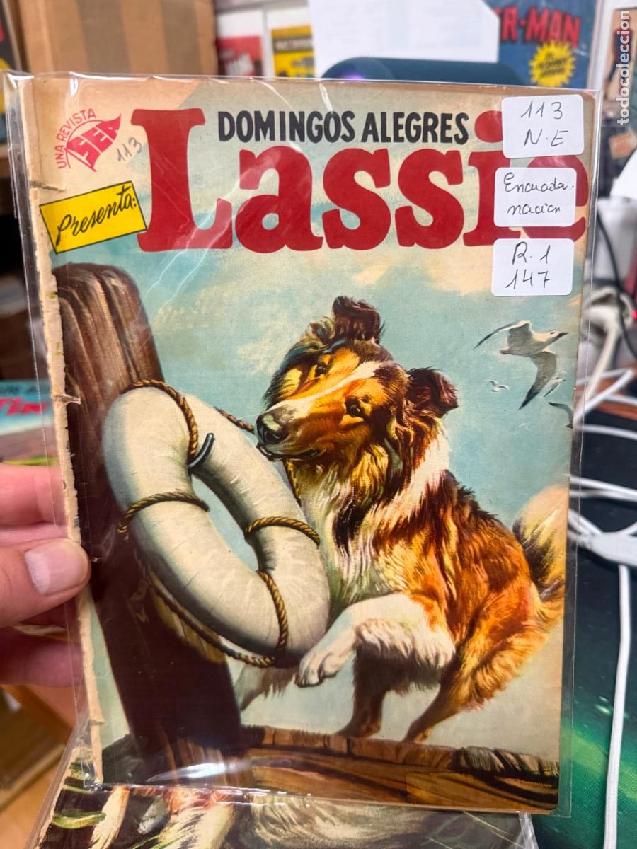 Tebeos: DOMINGOS ALEGRES EDITORIAL NOVARO NUMERO 113