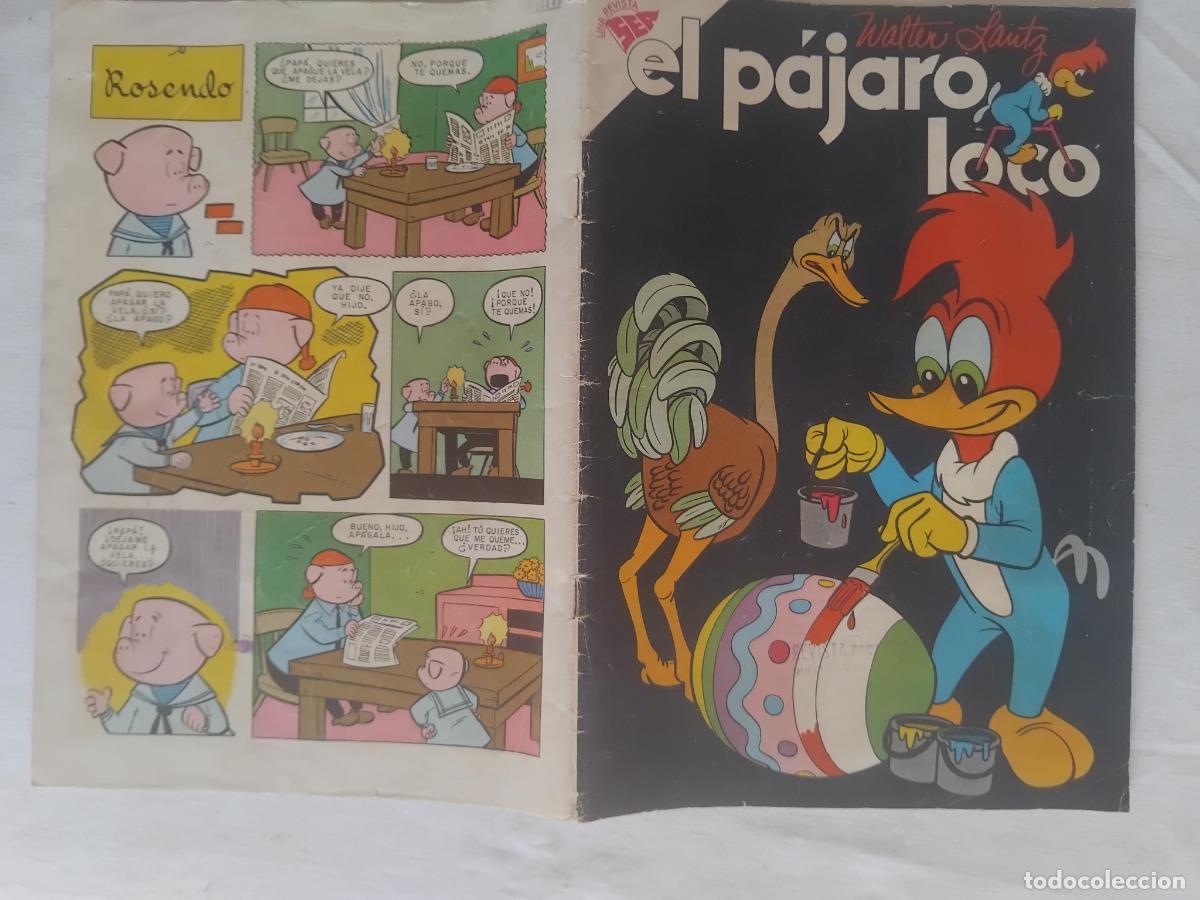 Tebeos: EL PAJARO LOCO.N&ordm; 156. SEA NOVARO 1959.