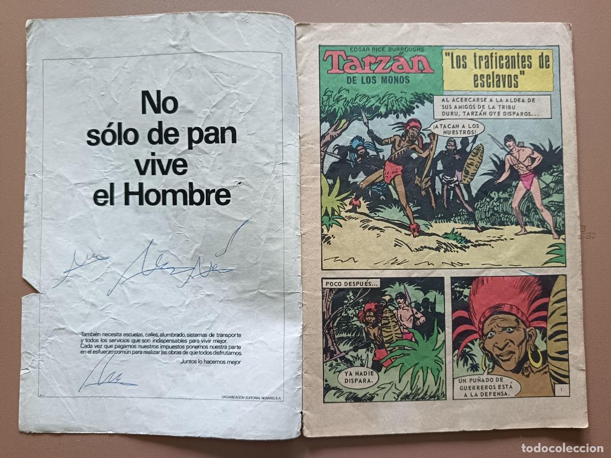 Tebeos: TARZ&Aacute;N - N&Uacute;MERO - 336 - Foto 2