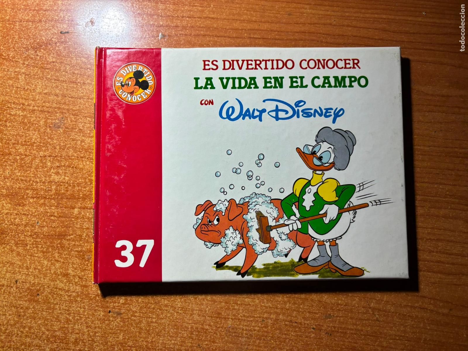 Tebeos: ES DIVERTIDO CONOCER N&ordm; 37 LA VIDA EN EL CAMPO CON WALT DISNEY TAPA DURA