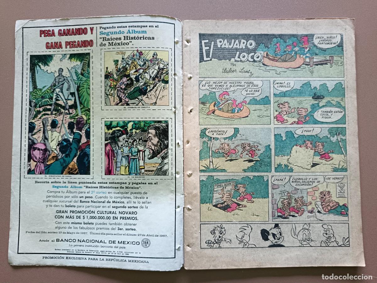 Tebeos: EL P&Aacute;JARO LOCO- N&ordm;- 200 - Foto 2