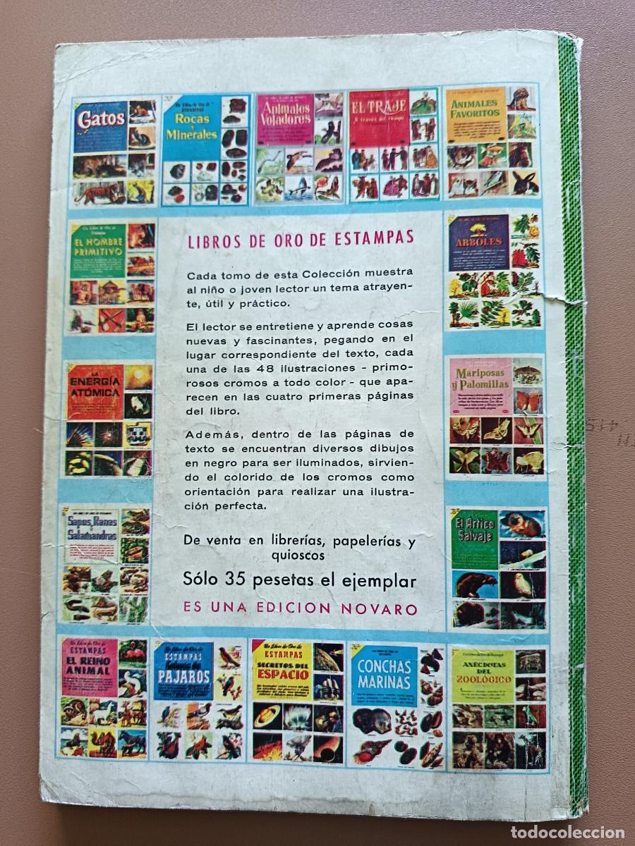 Tebeos: EL P&Aacute;JARO LOCO- EXTRA- N&ordm;-3 - Foto 9