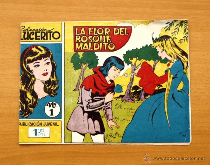 Tebeos: Lucerito - N&ordm; 1 - La flor del bosque maldito - Editorial Mateu 1959 - Foto 1
