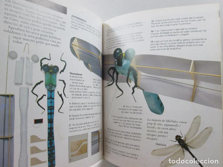Tebeos: EXPERIMENTO AMB ELS INSECTES - TAPA DURA - CATALA - Foto 3