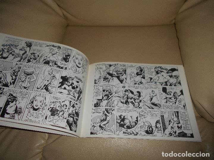 Tebeos: EDGAR RICE BURROUGHS &ndash; TARZ&Aacute;N &ndash; N&ordm; 1 - Foto 3