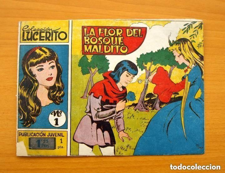 Tebeos: Lucerito - n&ordm; 1 La flor del bosque maldito - Editorial Mateu 1959 - Foto 1
