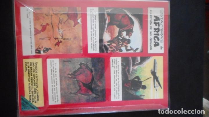 Tebeos: PANTERA NEGRA N&ordm; 1, REEDICCI&Oacute;N / C-13 - Foto 2
