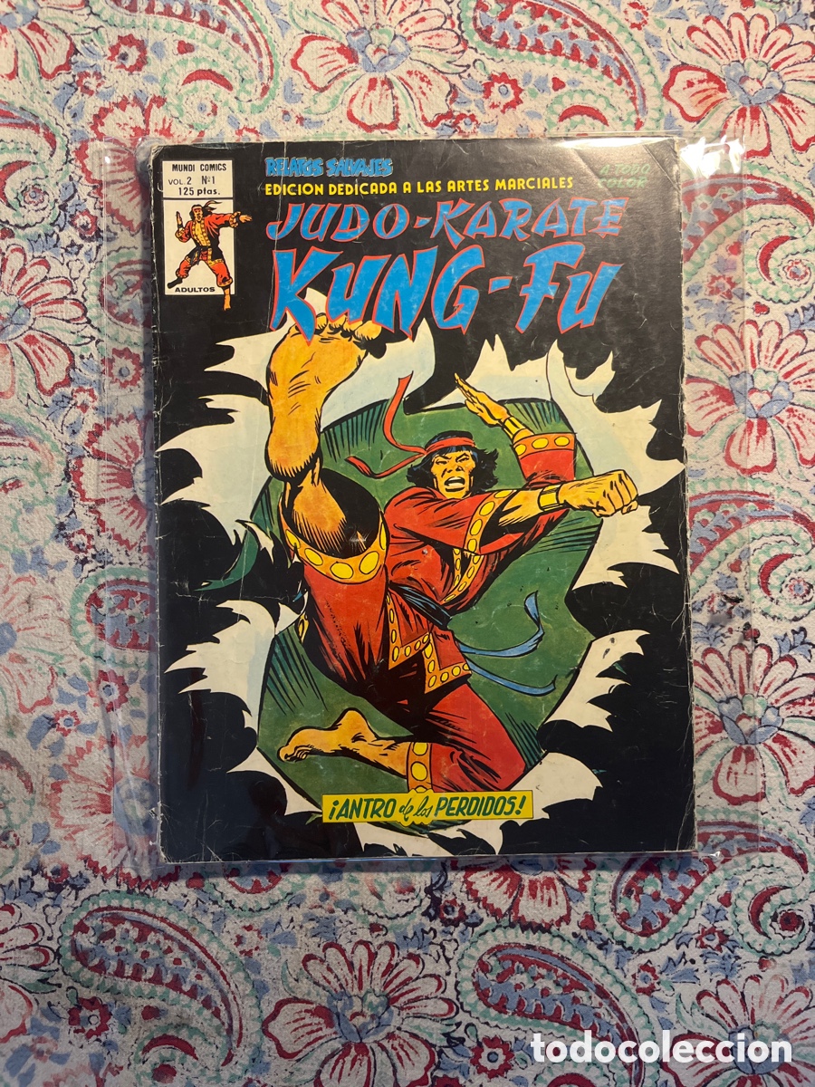 Tebeos: JUDO-KARATE-KUNG-FU, N&Uacute;MERO 1, VOL 2, (EDICIONES V&Eacute;RTICE) - Foto 1