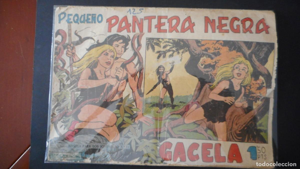 Tebeos: PEQUE&Ntilde;O PANTERA NEGRA N&ordm; 1 / C-13 - Foto 1
