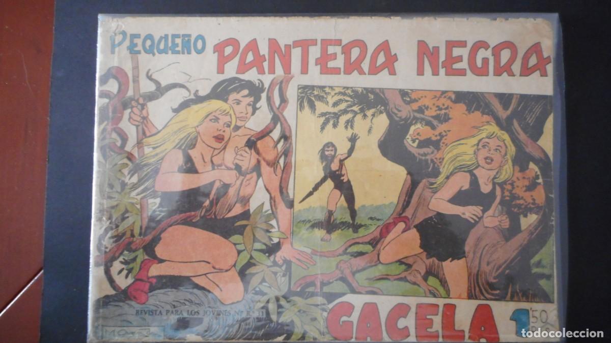 Tebeos: PEQUE&Ntilde;O PANTERA NEGRA N&ordm; 1 / C-13 - Foto 1
