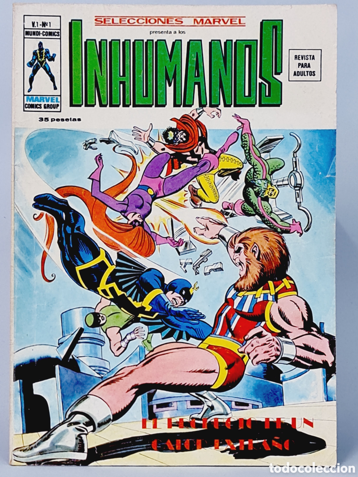 Tebeos: CASI EXCELENTE SELECCIONES MARVEL 1 INHUMANOS C&Oacute;MICS EDICIONES VERTICE - Foto 1