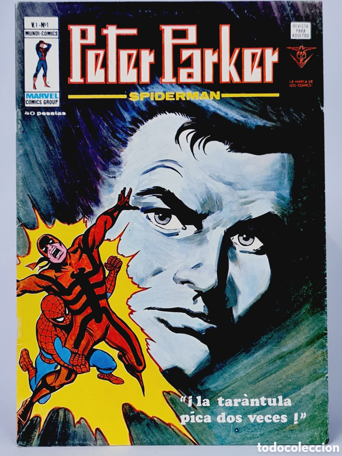 Tebeos: CASI EXCELENTE PETER PARKER 1 SPIDER-MAN C&Oacute;MICS VERTICE MARVEL SPIDERMAN LA TAR&Aacute;NTULA - Foto 1
