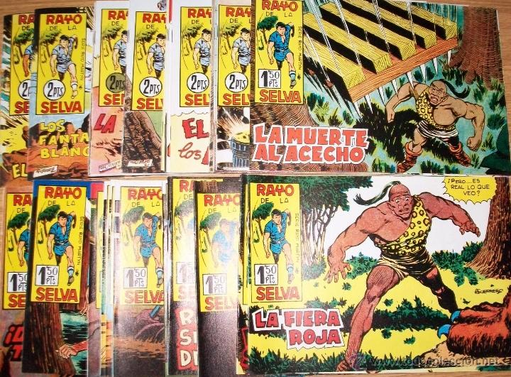 Tebeos: El Rayo de la Selva 83 Ej (Completa Reedicion) - Foto 1