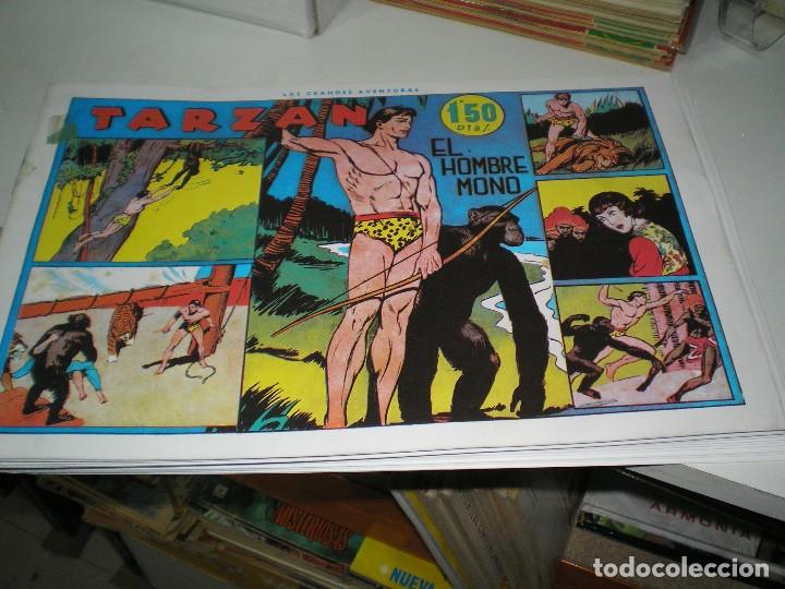 Tebeos: COLECCION COMPLETA DE TARZAN - Foto 1