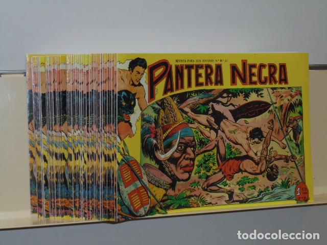 Tebeos: PANTERA NEGRA COMPLETA 54 NUMS. REEDICION - Foto 1