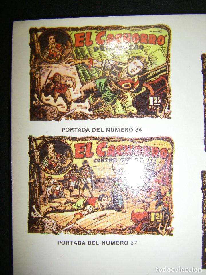 Tebeos: EL CACHORRO, DESEMBARCA, IBERCOMIC, N&Uacute;MEROS 34 - 40 - Foto 13