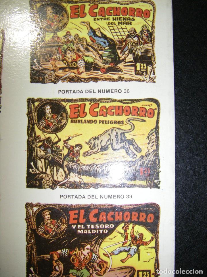 Tebeos: EL CACHORRO, DESEMBARCA, IBERCOMIC, N&Uacute;MEROS 34 - 40 - Foto 15
