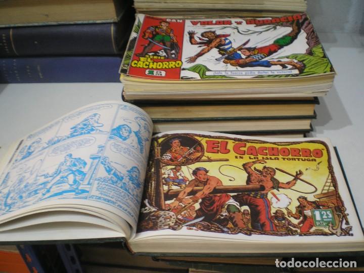 Tebeos: COLECCION DEL CACHORRO - Foto 2
