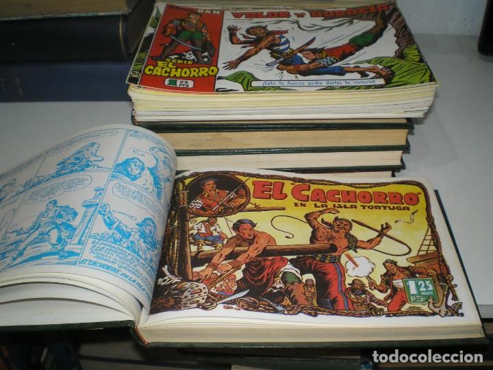 Tebeos: COLECCION DEL CACHORRO - Foto 3