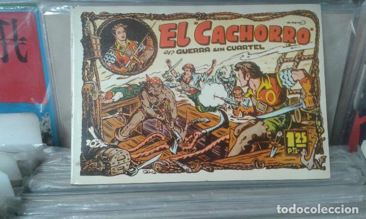 Tebeos: . EL CACHORRO EN GUERRA SIN CUARTEL. TOMO 7. IBERCOMIC. 1985 - Foto 1