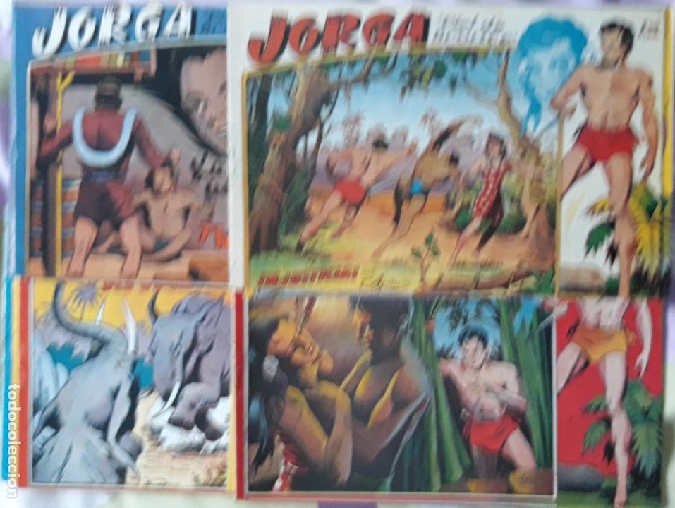 Tebeos: JORGA PIEL DE BRONCE, COMPLETA - Foto 1