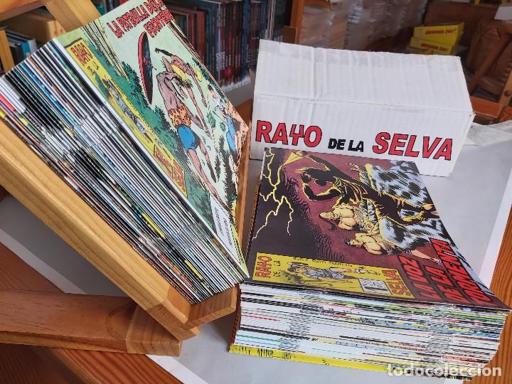 Tebeos: * RAYO DE LA SELVA * COMPLETA 83 NUMEROS * REEDICION EN CAJA * - Foto 2