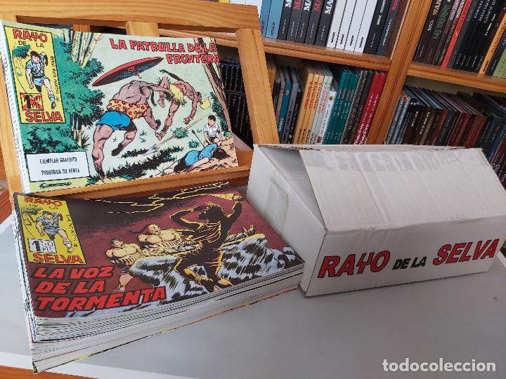 Tebeos: * RAYO DE LA SELVA * COMPLETA 83 NUMEROS * REEDICION EN CAJA * - Foto 3