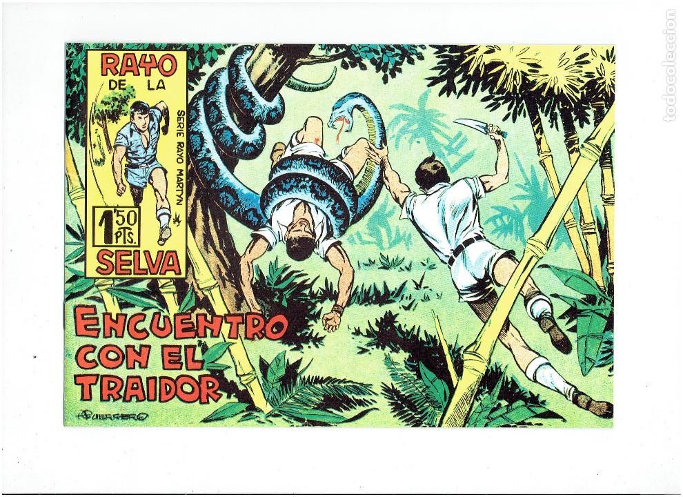 Tebeos: * RAYO DE LA SELVA * COMPLETA 83 NUMEROS * REEDICION EN CAJA * - Foto 4