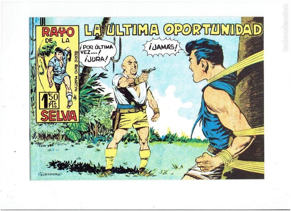 Tebeos: * RAYO DE LA SELVA * COMPLETA 83 NUMEROS * REEDICION EN CAJA * - Foto 5