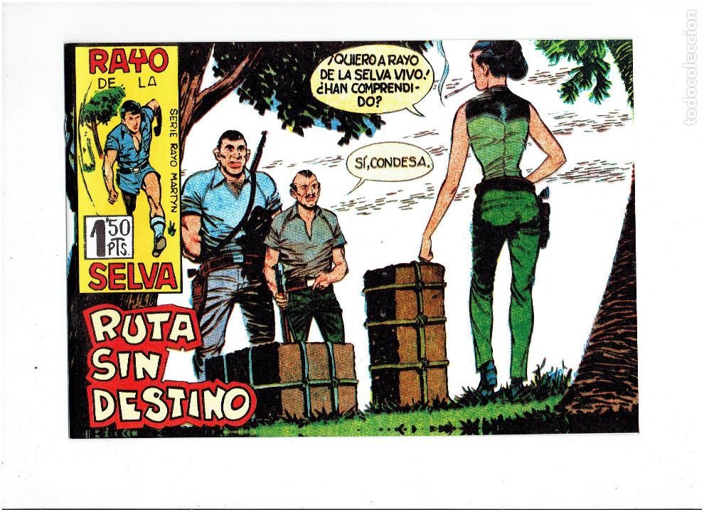 Tebeos: * RAYO DE LA SELVA * COMPLETA 83 NUMEROS * REEDICION EN CAJA * - Foto 6
