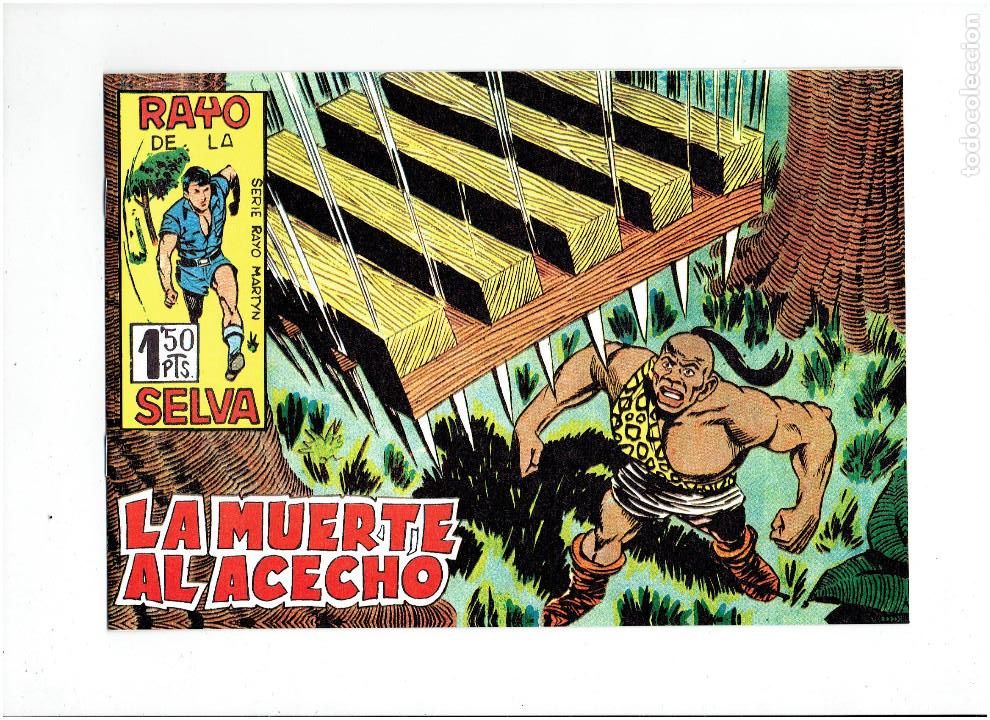 Tebeos: * RAYO DE LA SELVA * COMPLETA 83 NUMEROS * REEDICION EN CAJA * - Foto 7