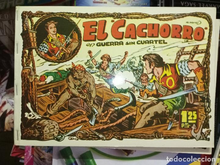 Tebeos: el cachorro tomo 7 cj2 - Foto 1