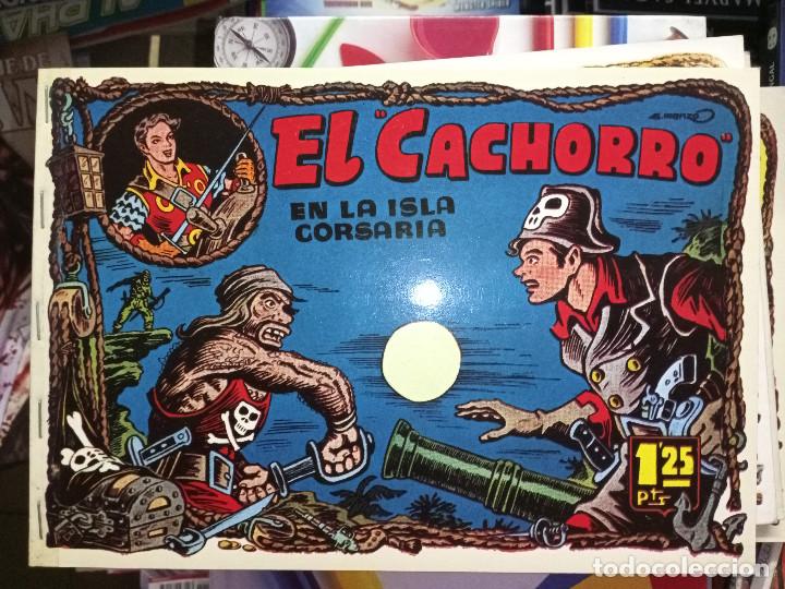 Tebeos: el cachorro tomo 13 cj2 - Foto 1
