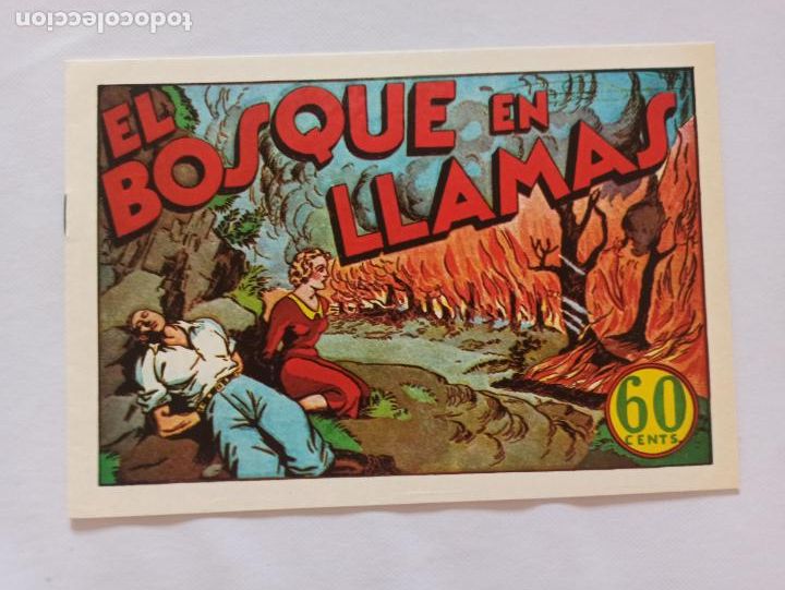 Tebeos: JUAN CENTELLA - EL BOSQUE EN LLAMAS - REEDICION (Q2) - Foto 1