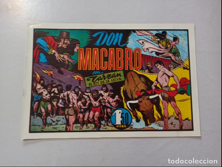 Tebeos: DON MACABRO - TARZAN EL REY DE LA SELVA - REEDICION (A) - Foto 1