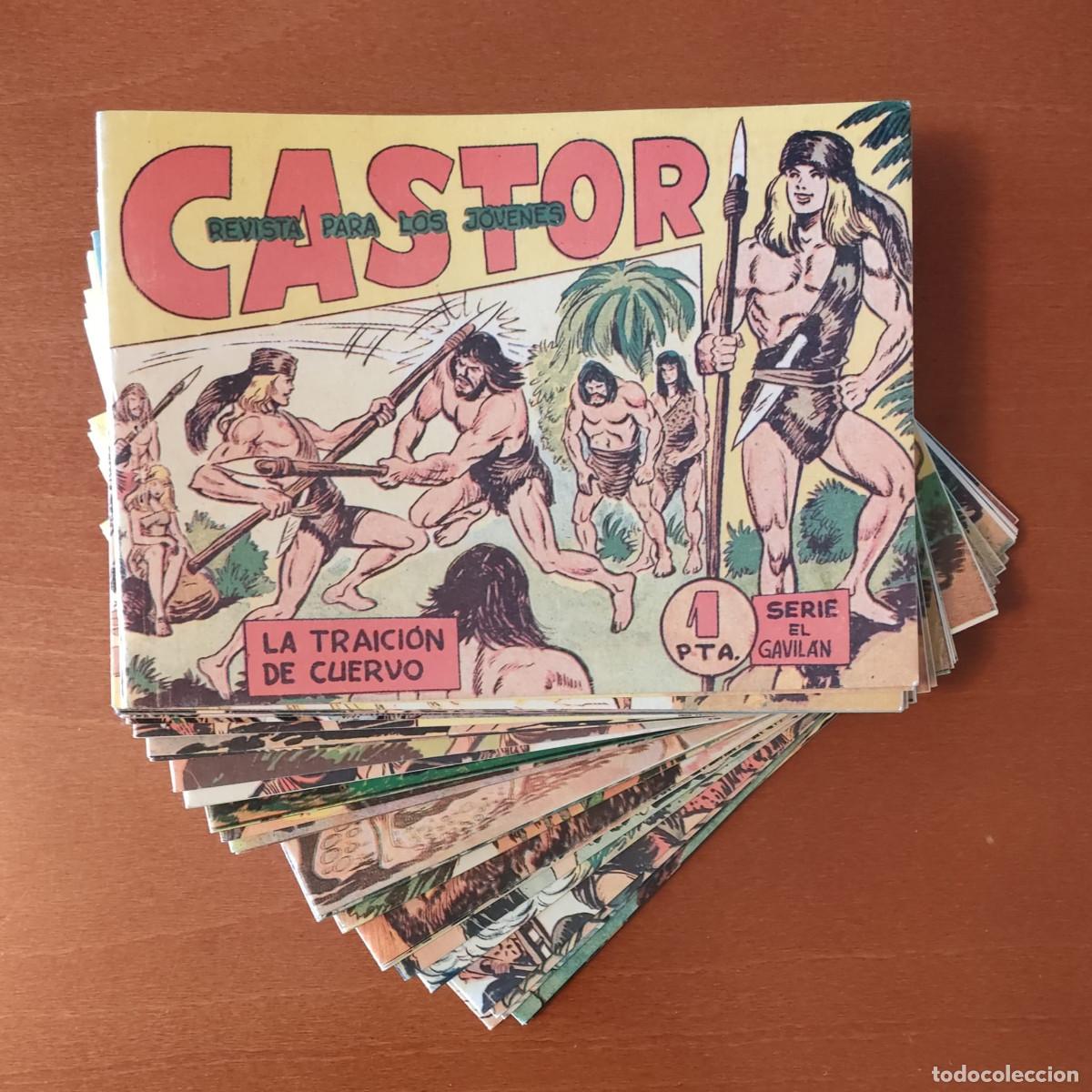 Tebeos: CASTOR DE M. GAGO REEDICION COMPLETA 42 N&ordm;. - Foto 1