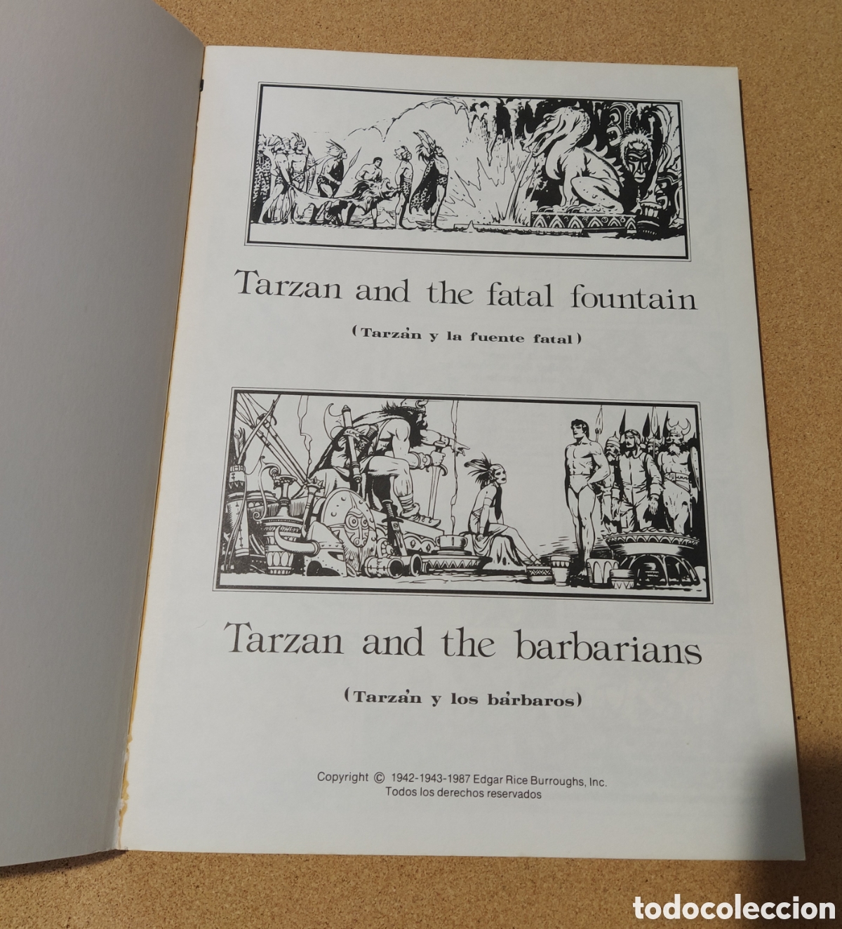 Tebeos: &rdquo;Tarz&aacute;n y la fuente fatal&rdquo; - Foto 2