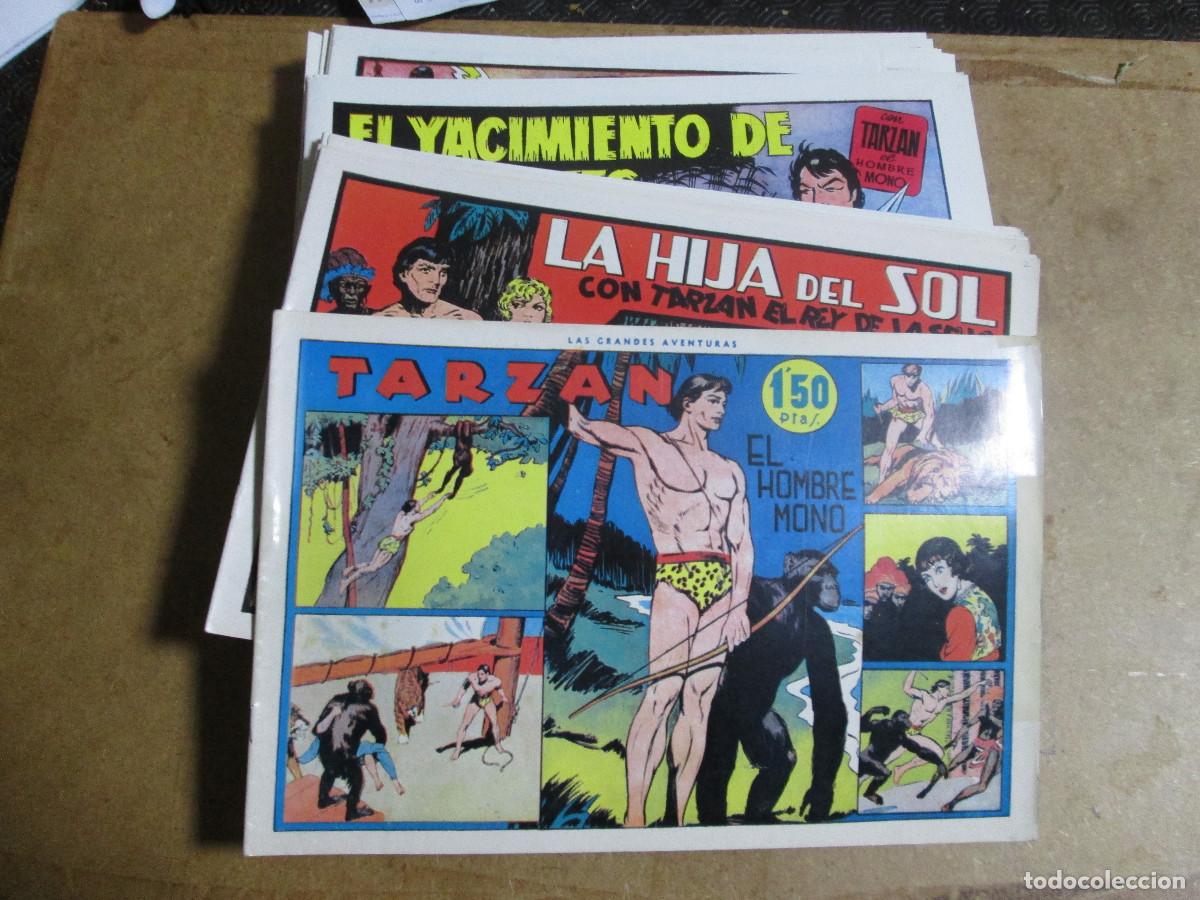 Tebeos: Tarz&aacute;n, colecci&oacute;n completa 63 n&uacute;meros, reedici&oacute;n - Foto 1