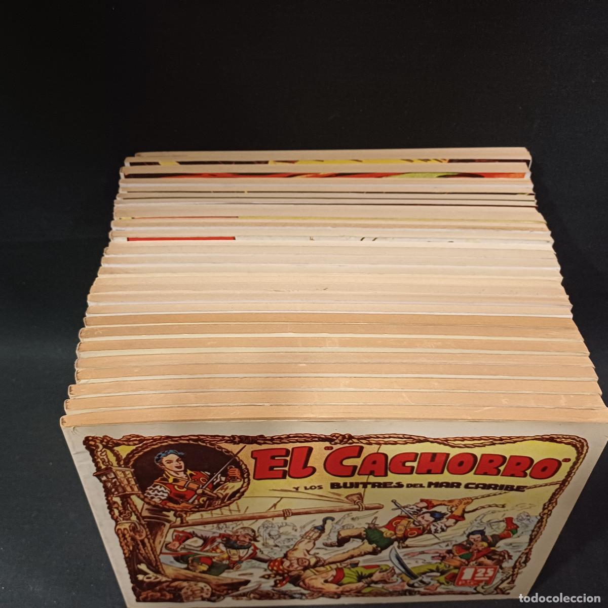 Tebeos: EL CACHORRO/COLECCION COMPLETA REEDICION EN 27 TOMOS. - Foto 4