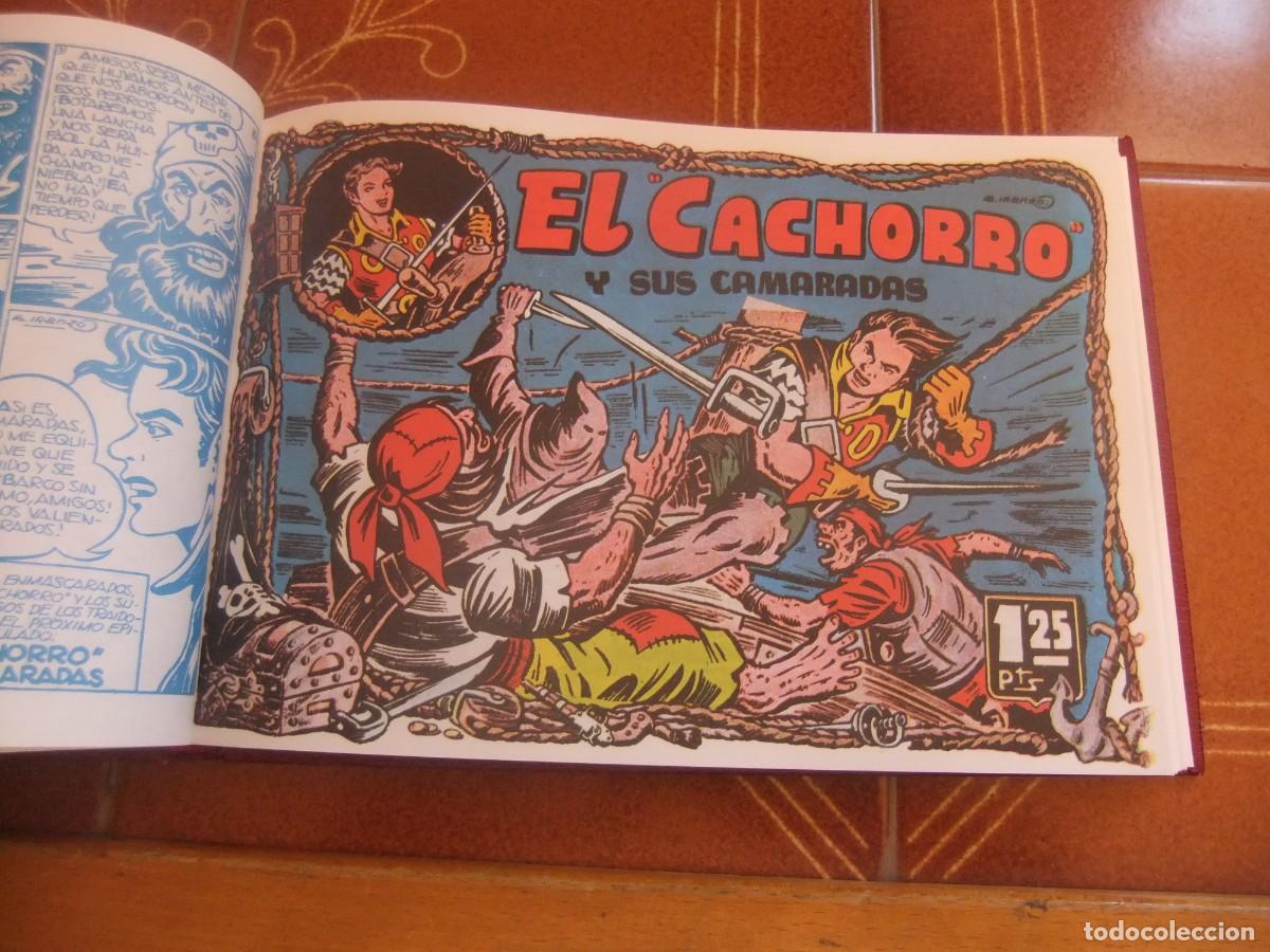 Tebeos: EL CAHORRO TOMO N&ordm; 6 STUDIO EDICIONES COMICS - Foto 4