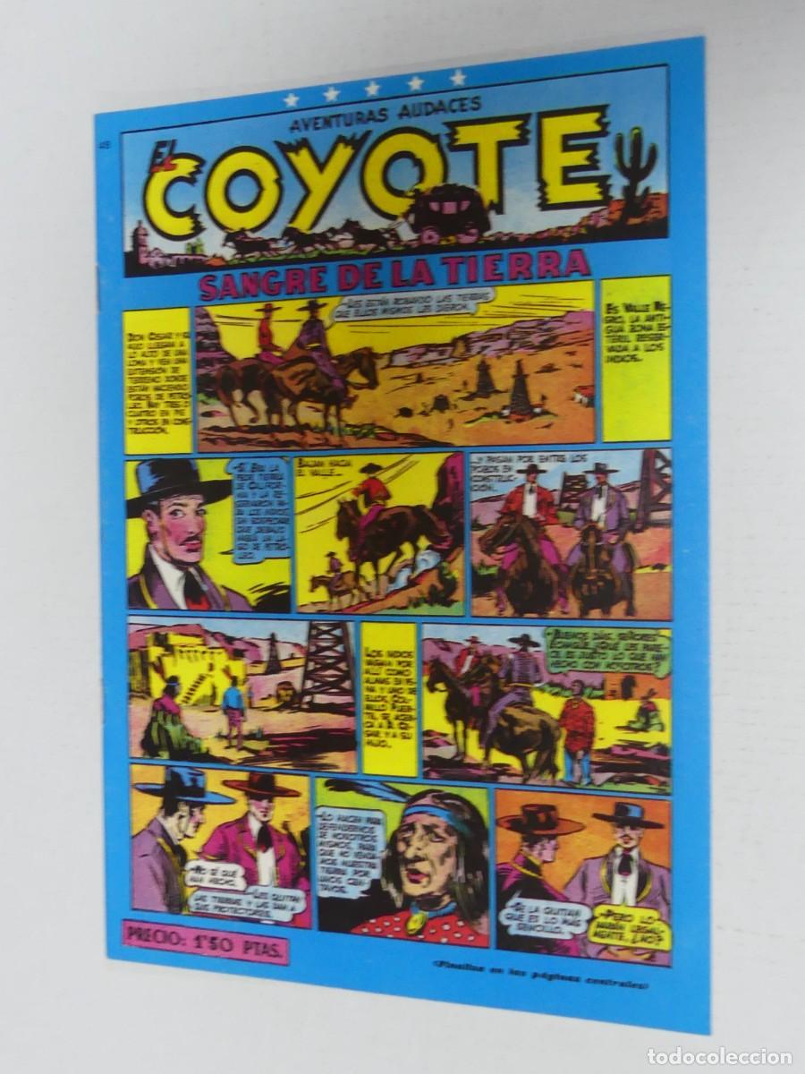 Tebeos: REEDICION COMIC &ndash; EL COYOTE &ndash; SANGRE DE LA TIERRA